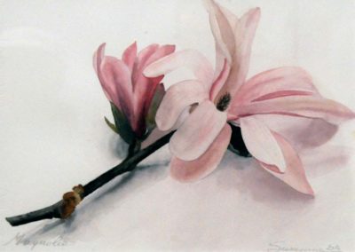 Susanna Battistella - Magnolia